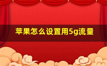 苹果怎么设置用5g流量