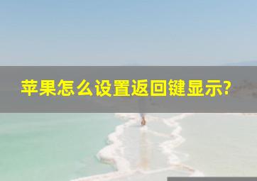 苹果怎么设置返回键显示?