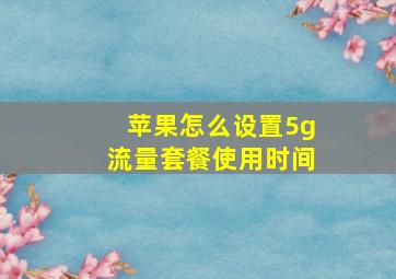 苹果怎么设置5g流量套餐使用时间