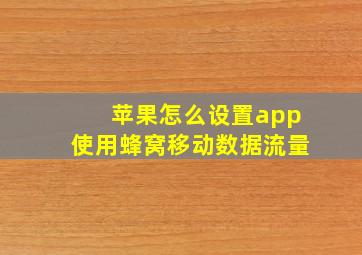 苹果怎么设置app使用蜂窝移动数据流量