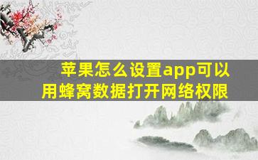 苹果怎么设置app可以用蜂窝数据打开网络权限