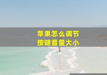 苹果怎么调节按键音量大小