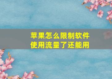 苹果怎么限制软件使用流量了还能用