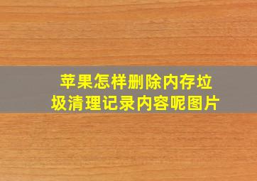 苹果怎样删除内存垃圾清理记录内容呢图片