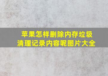 苹果怎样删除内存垃圾清理记录内容呢图片大全