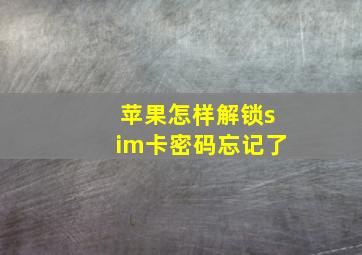 苹果怎样解锁sim卡密码忘记了