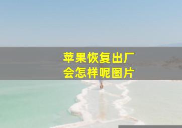 苹果恢复出厂会怎样呢图片