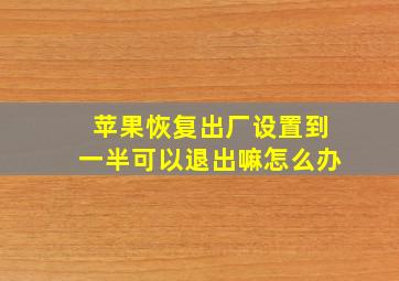 苹果恢复出厂设置到一半可以退出嘛怎么办