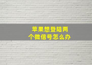 苹果想登陆两个微信号怎么办