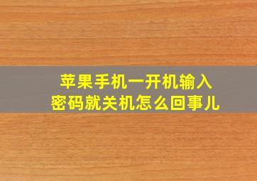 苹果手机一开机输入密码就关机怎么回事儿