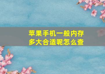 苹果手机一般内存多大合适呢怎么查