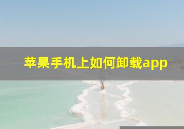 苹果手机上如何卸载app