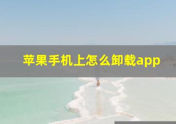 苹果手机上怎么卸载app