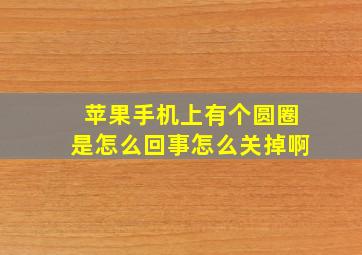 苹果手机上有个圆圈是怎么回事怎么关掉啊