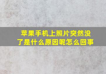 苹果手机上照片突然没了是什么原因呢怎么回事