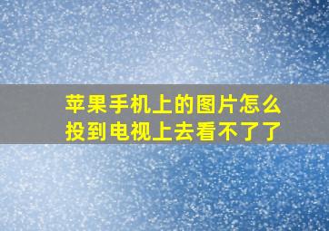 苹果手机上的图片怎么投到电视上去看不了了