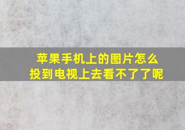 苹果手机上的图片怎么投到电视上去看不了了呢