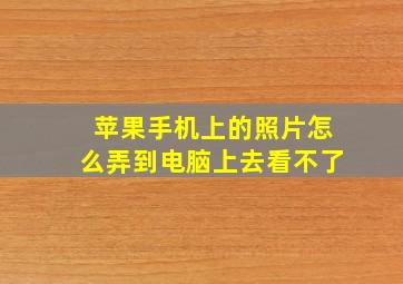 苹果手机上的照片怎么弄到电脑上去看不了