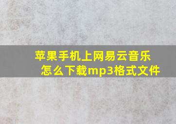 苹果手机上网易云音乐怎么下载mp3格式文件