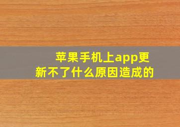 苹果手机上app更新不了什么原因造成的