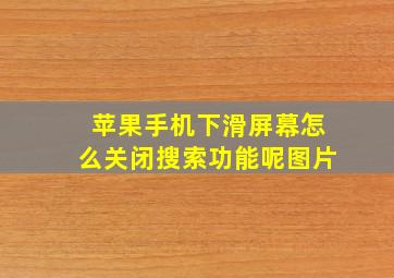 苹果手机下滑屏幕怎么关闭搜索功能呢图片