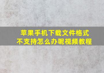 苹果手机下载文件格式不支持怎么办呢视频教程