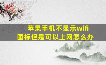 苹果手机不显示wifi图标但是可以上网怎么办