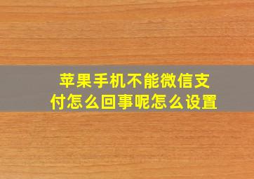 苹果手机不能微信支付怎么回事呢怎么设置