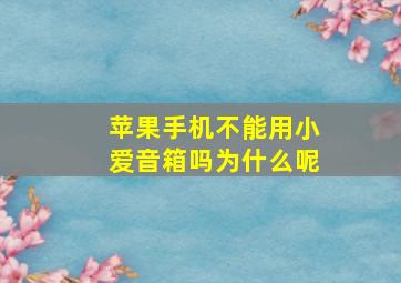 苹果手机不能用小爱音箱吗为什么呢