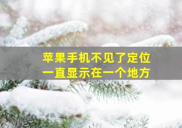 苹果手机不见了定位一直显示在一个地方