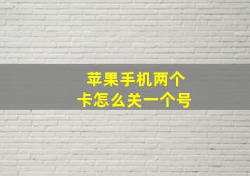 苹果手机两个卡怎么关一个号