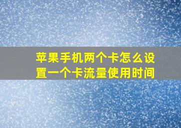 苹果手机两个卡怎么设置一个卡流量使用时间