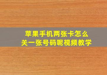 苹果手机两张卡怎么关一张号码呢视频教学