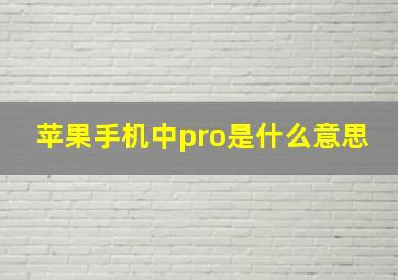 苹果手机中pro是什么意思