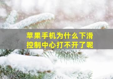 苹果手机为什么下滑控制中心打不开了呢