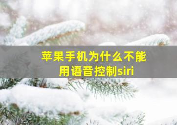 苹果手机为什么不能用语音控制siri