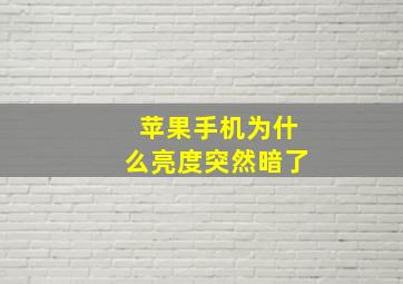 苹果手机为什么亮度突然暗了