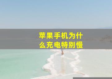 苹果手机为什么充电特别慢