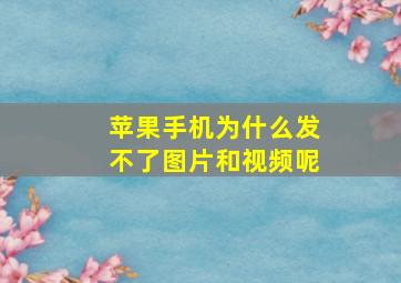 苹果手机为什么发不了图片和视频呢