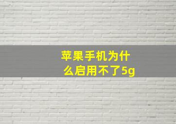 苹果手机为什么启用不了5g