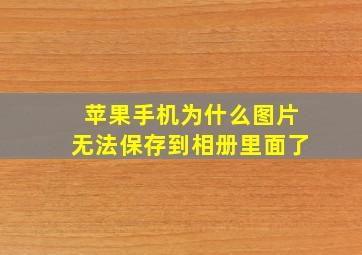 苹果手机为什么图片无法保存到相册里面了