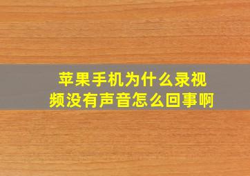 苹果手机为什么录视频没有声音怎么回事啊