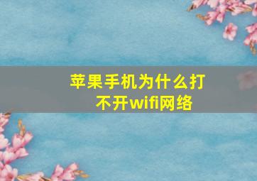 苹果手机为什么打不开wifi网络