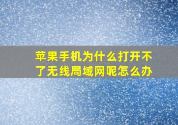 苹果手机为什么打开不了无线局域网呢怎么办