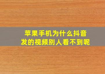 苹果手机为什么抖音发的视频别人看不到呢