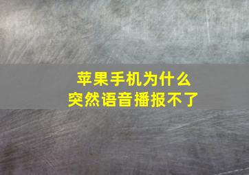 苹果手机为什么突然语音播报不了