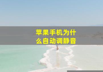 苹果手机为什么自动调静音