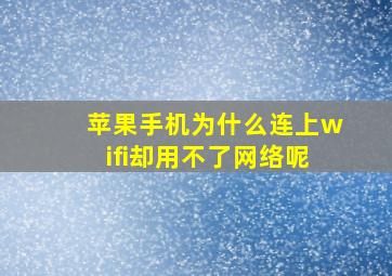 苹果手机为什么连上wifi却用不了网络呢