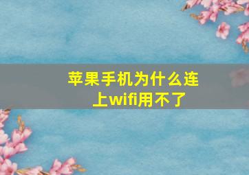 苹果手机为什么连上wifi用不了