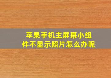 苹果手机主屏幕小组件不显示照片怎么办呢